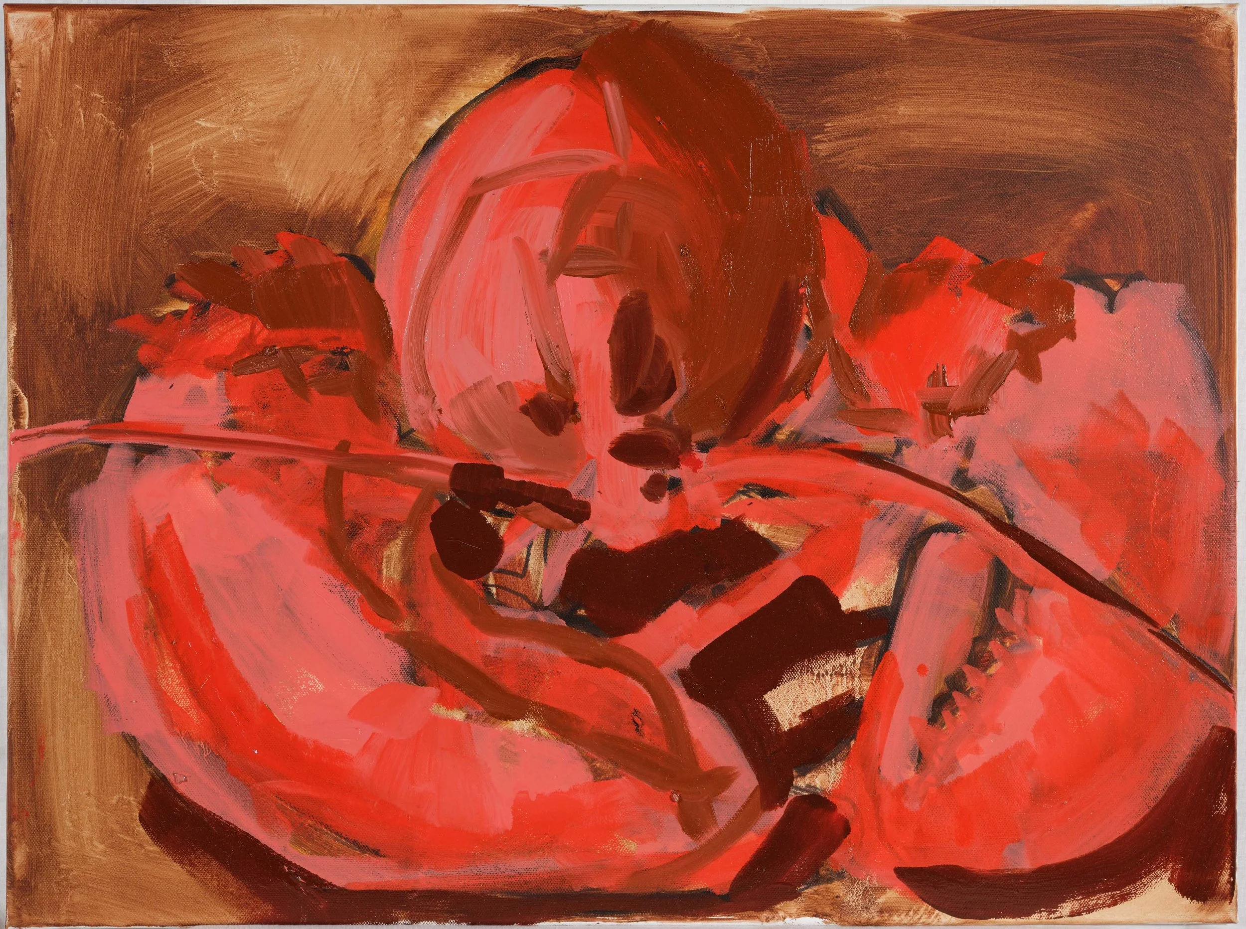 Red and rose, from the Lobsters series by Erin McGee Ferrell