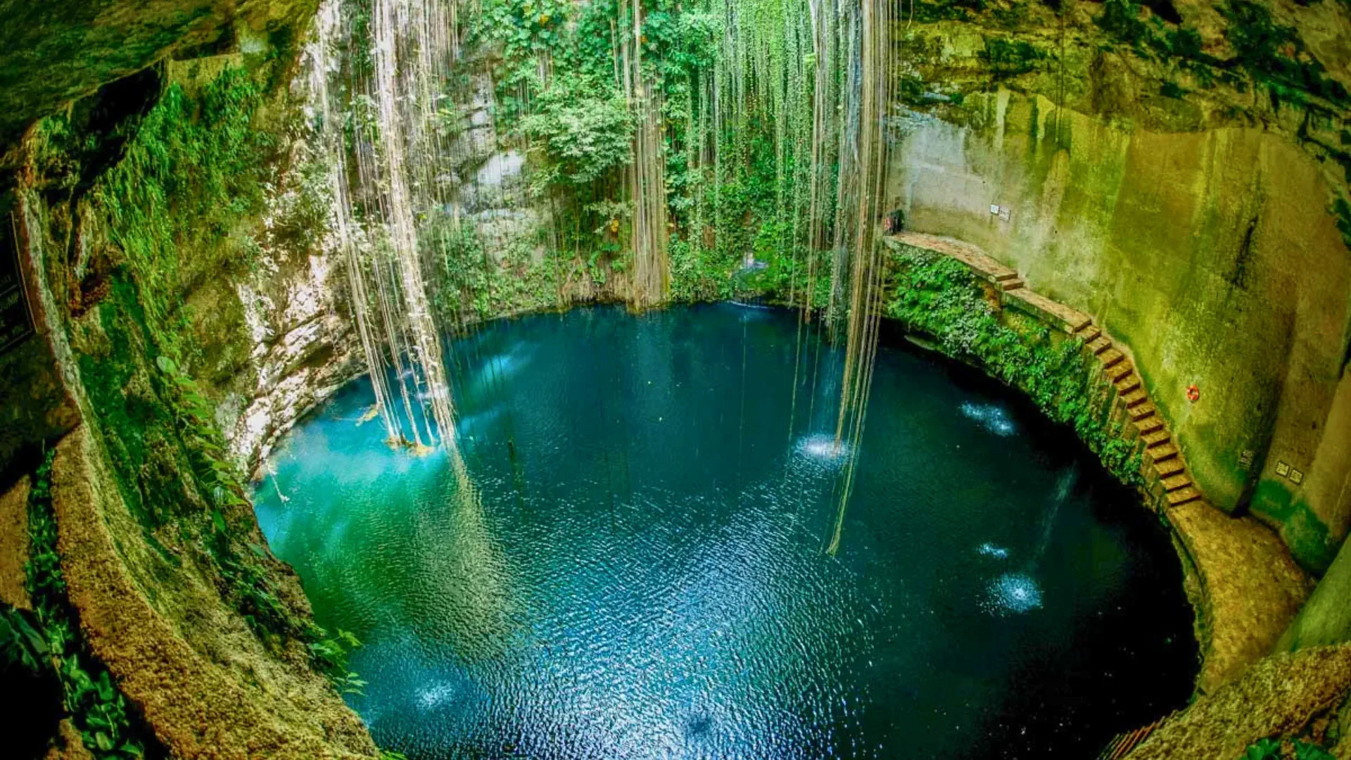 Tulum + Cobá + Cenote