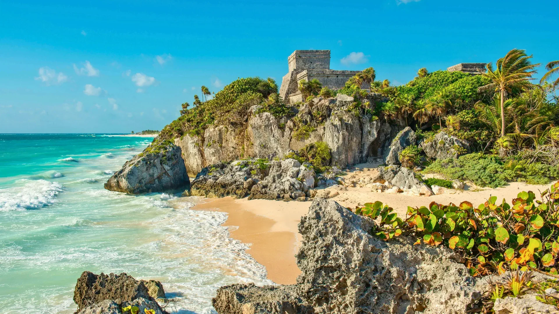 Tulum + Cobá + Cenote