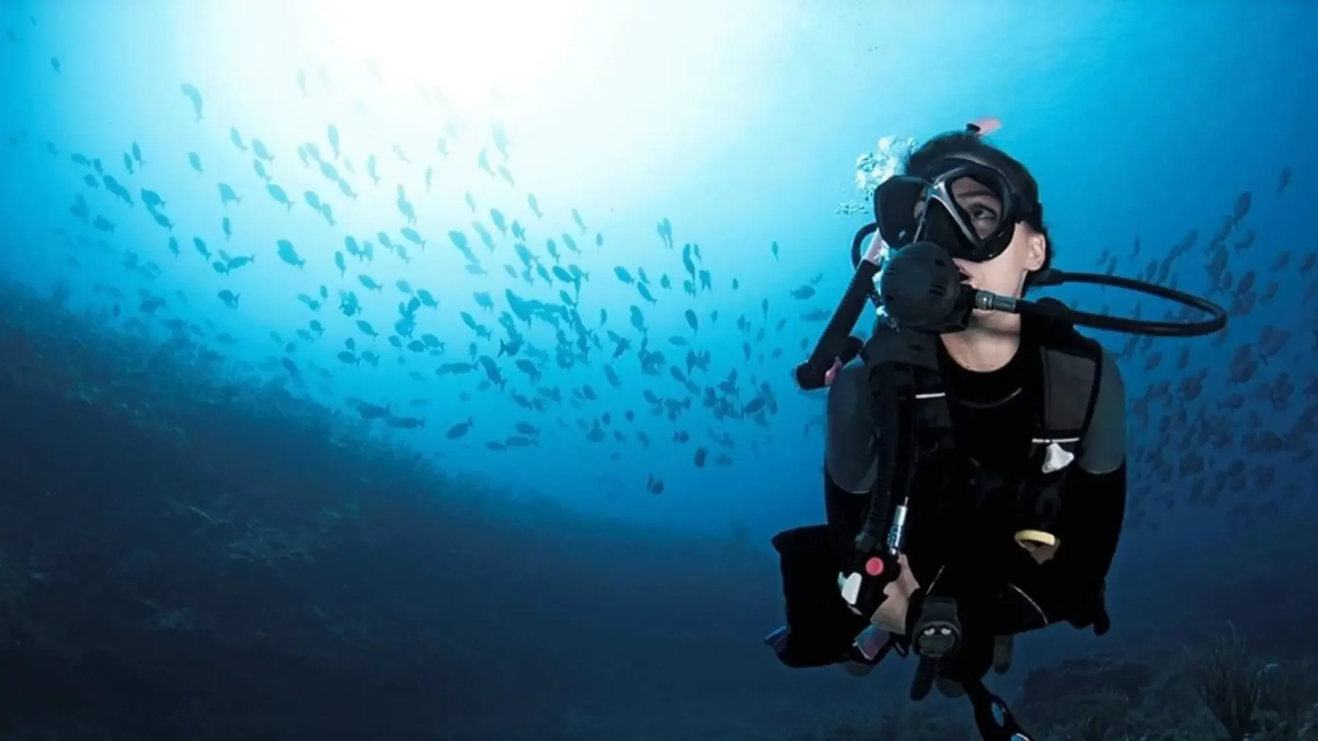 Open Water Course