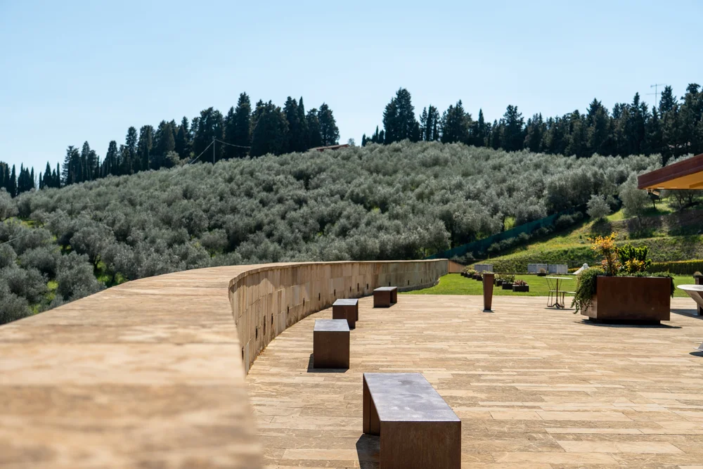 Gli uliveti e la terrazza panoramica