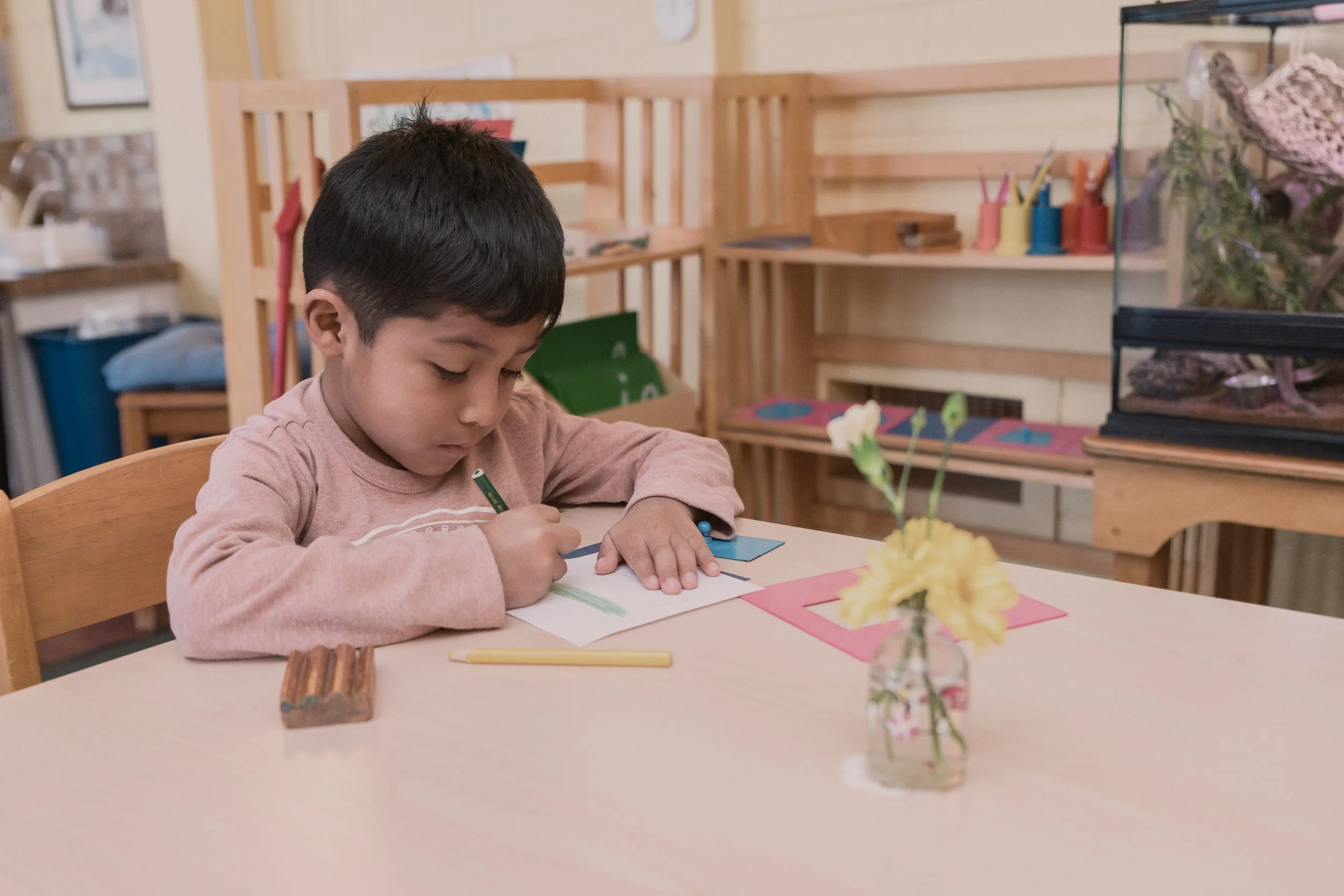 Primary Program