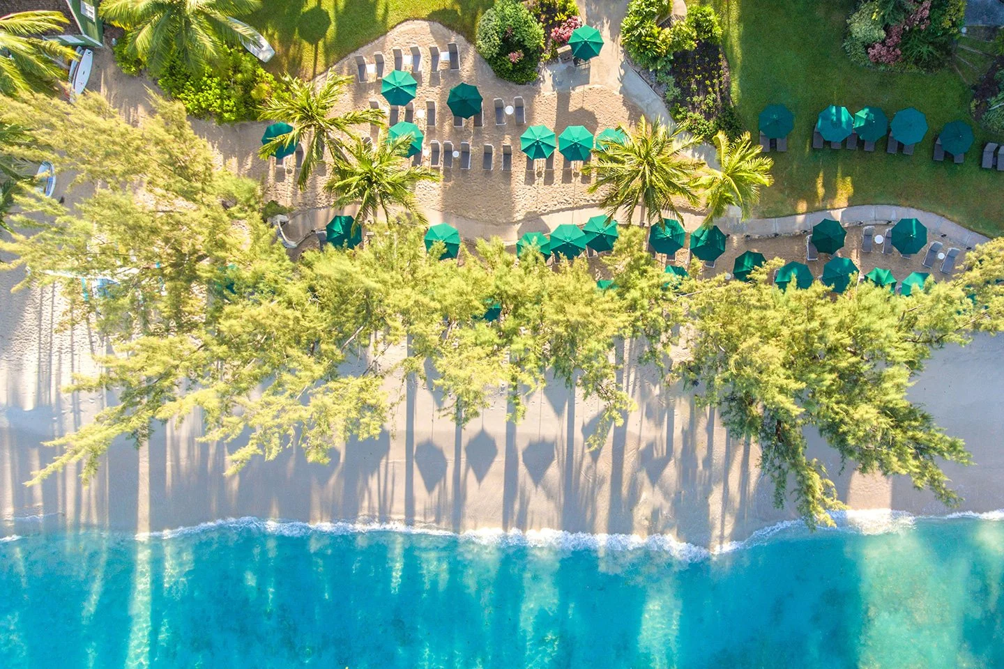 Coral Reef Club