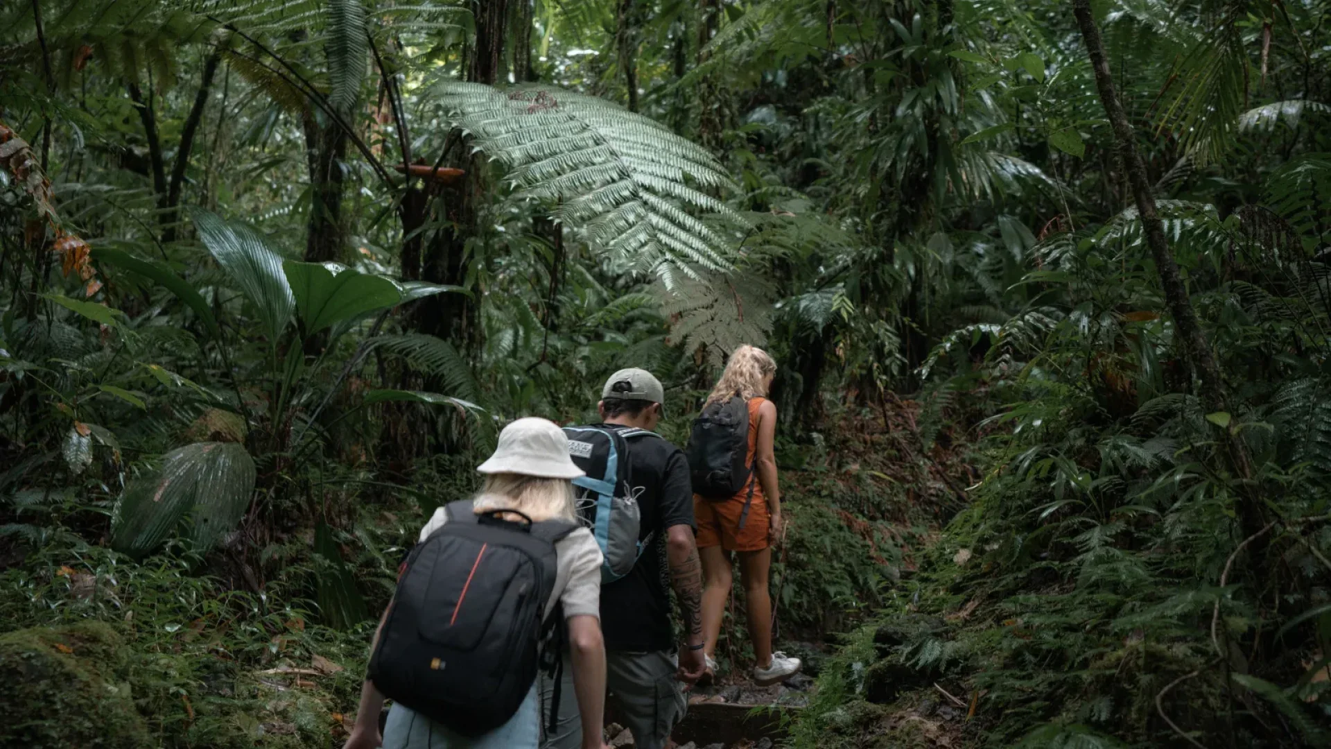 Rainforest & Volcano Adventure Groups