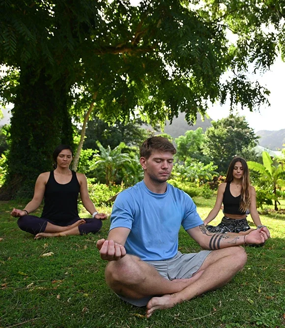 Wellness & Mindfulness Retreats