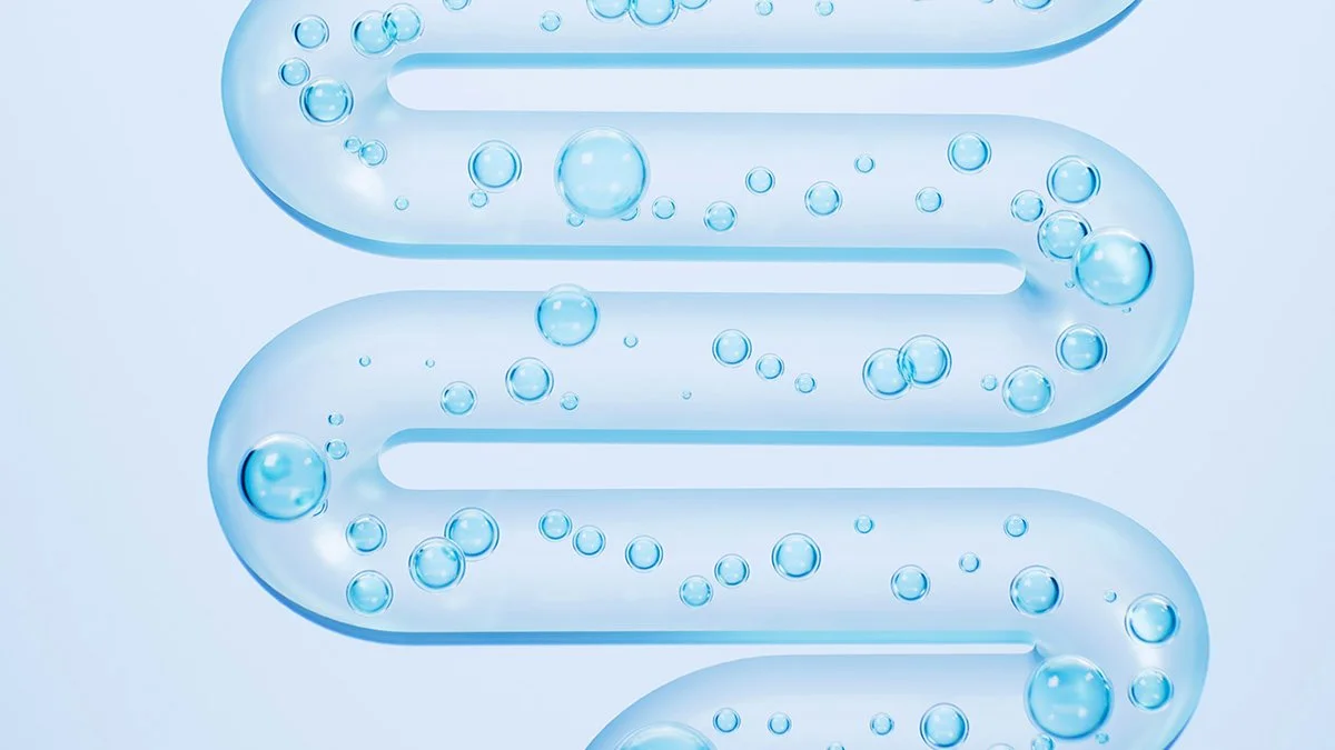 Gut Microbiome Test