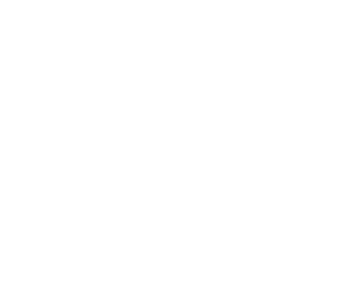Gillette Venus