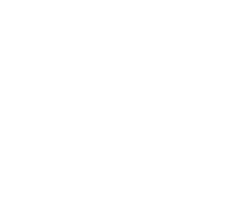 Brooks Running