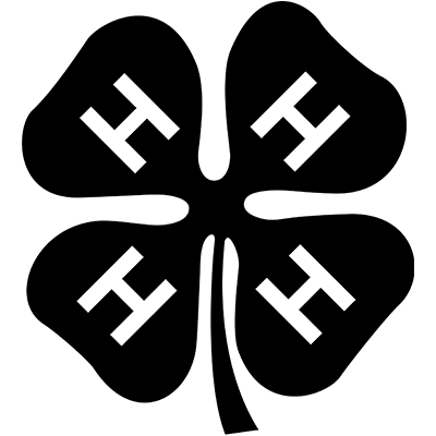 Logo 5