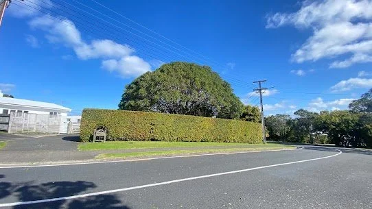 Neatly trimmed roadside hedge in Manly