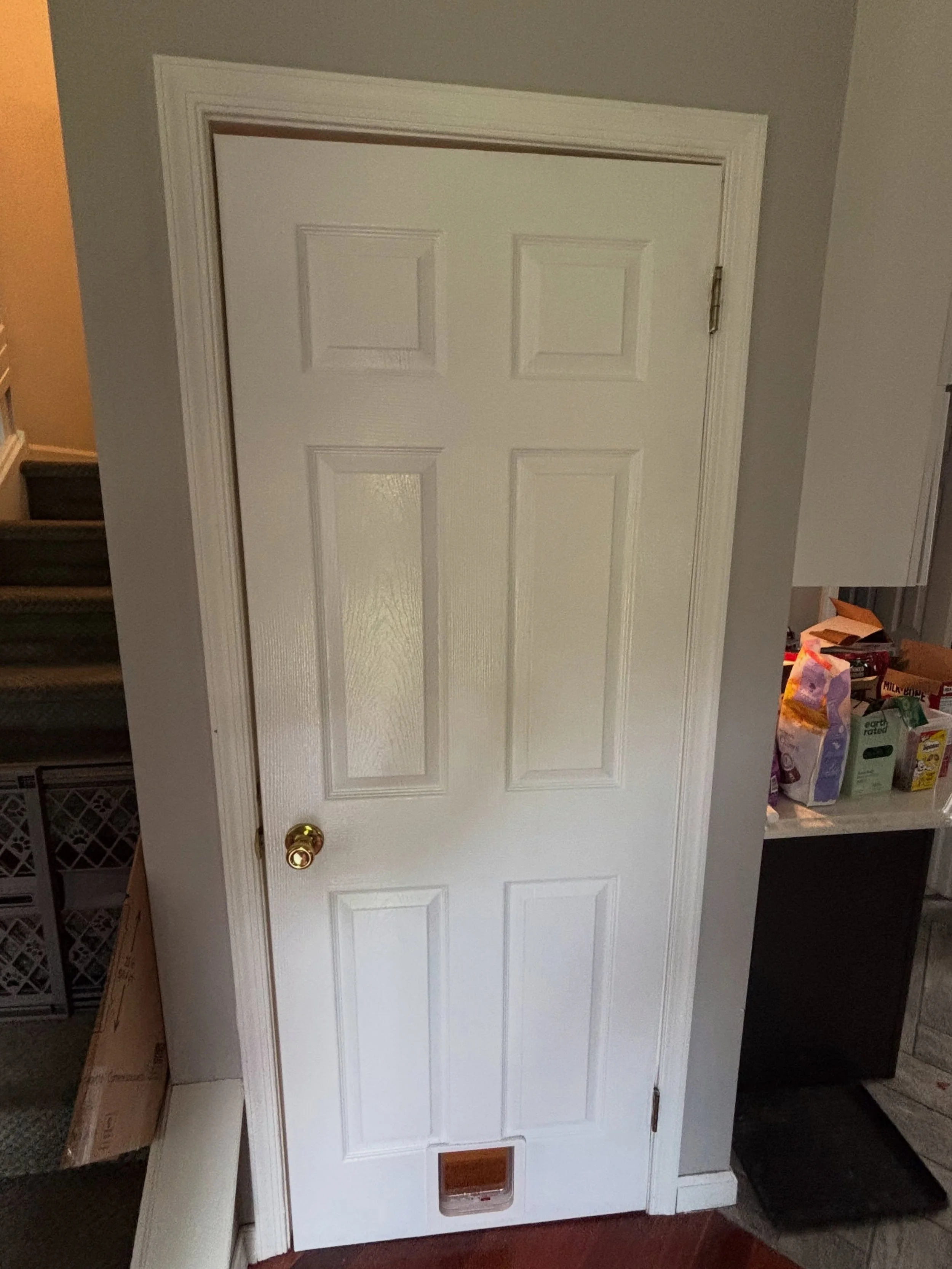 Finished white six-panel interior door with custom trim