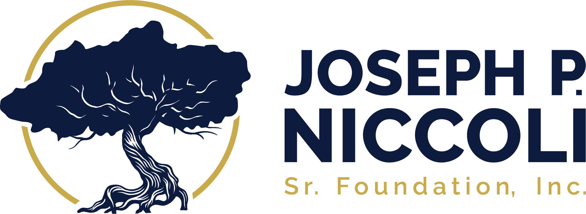 The Joseph P. Niccoli Sr. Foundation, Inc.