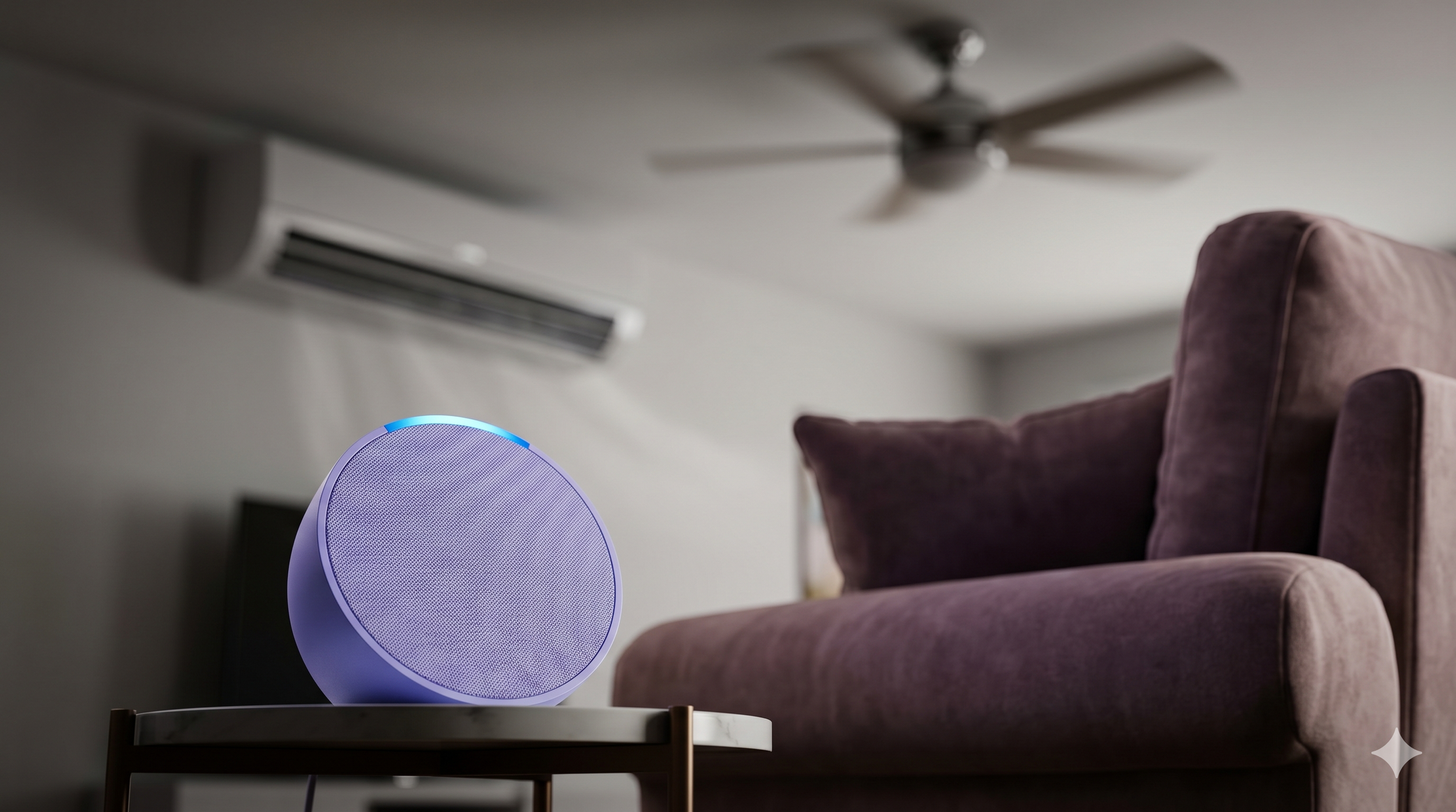 Voice control and smart display