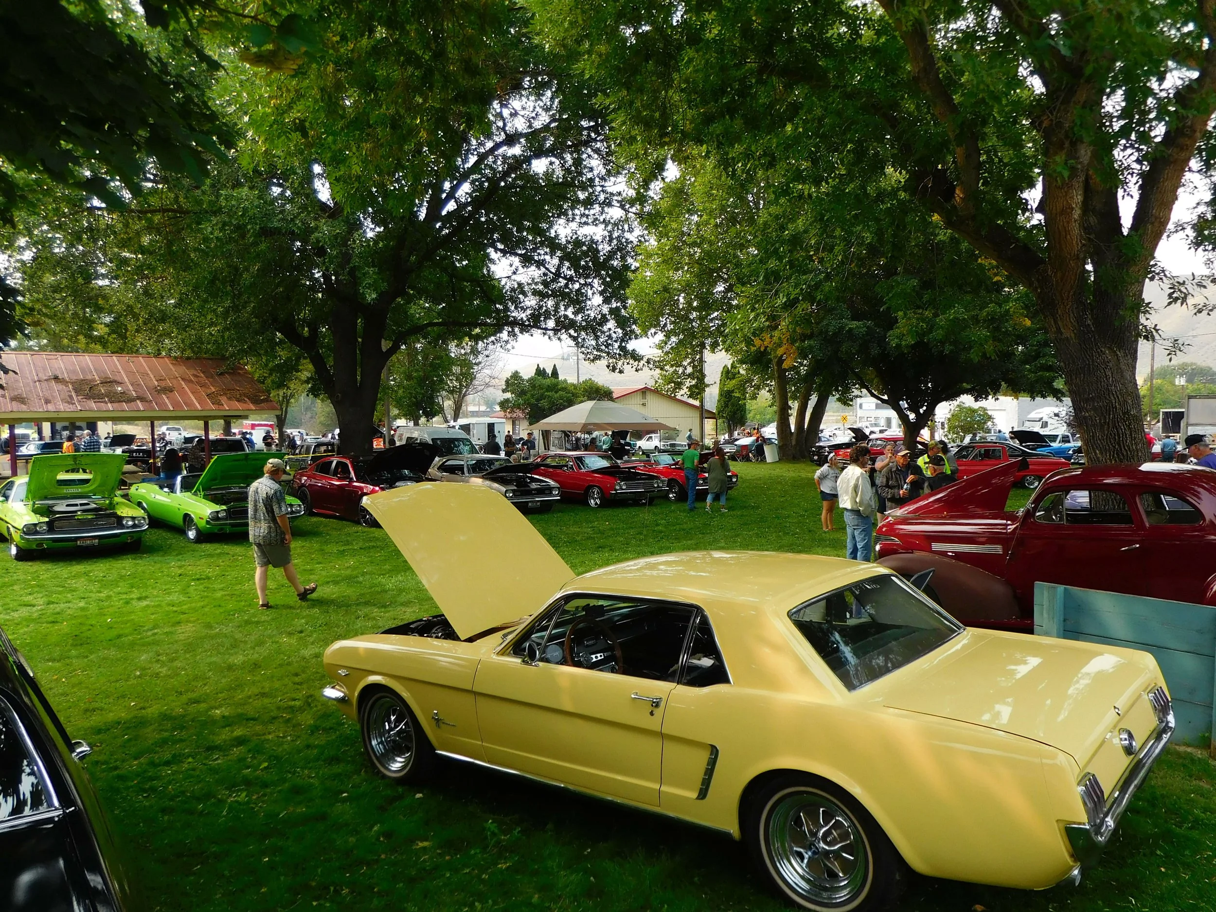 Local event in Horseshoe Bend