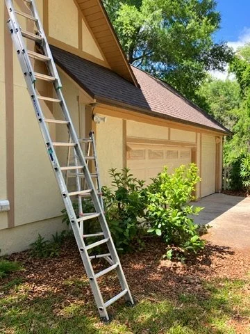 Ladder and protected ground beside the garage