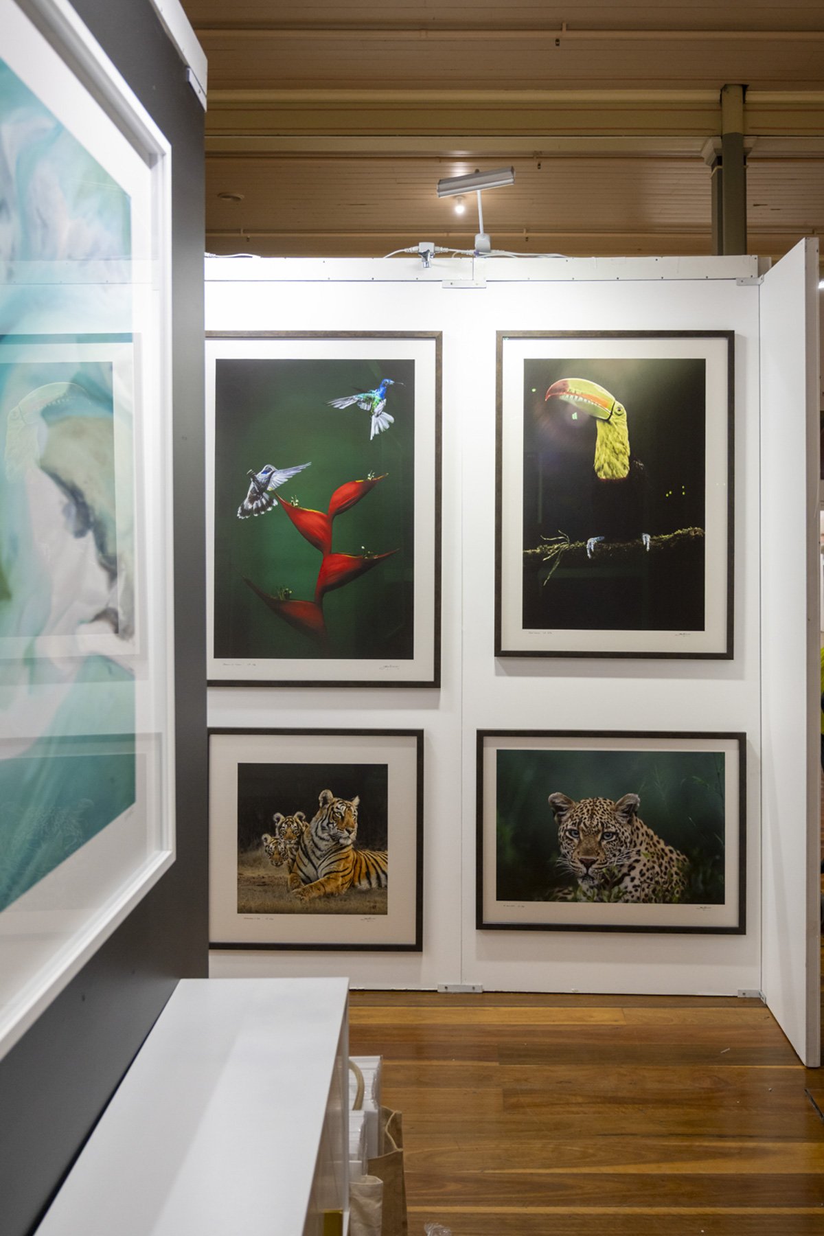 John Wiseman's wildlife photographs hung on the IRID stand