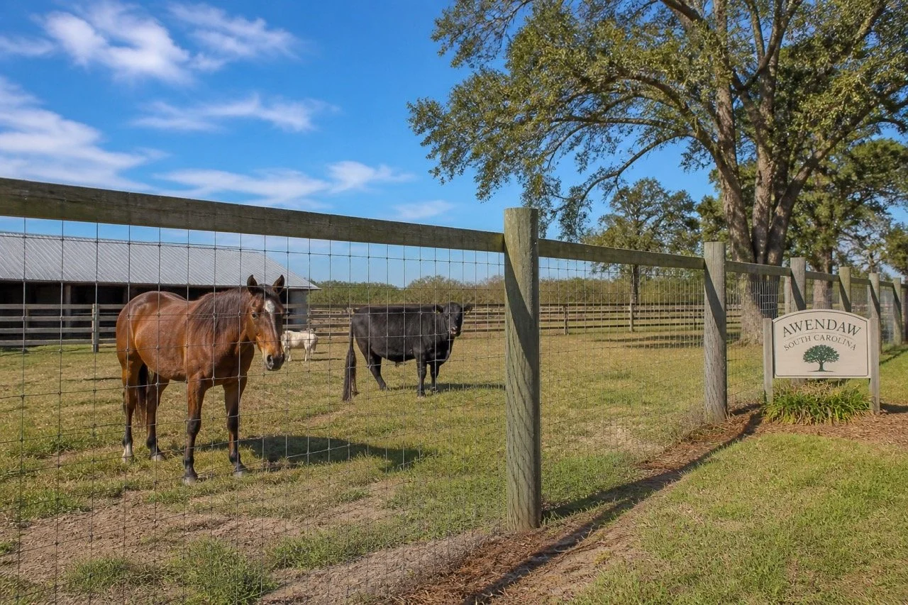 Hog wire farm fence installation in Charleston County, SC — Budget Fencing & Construction