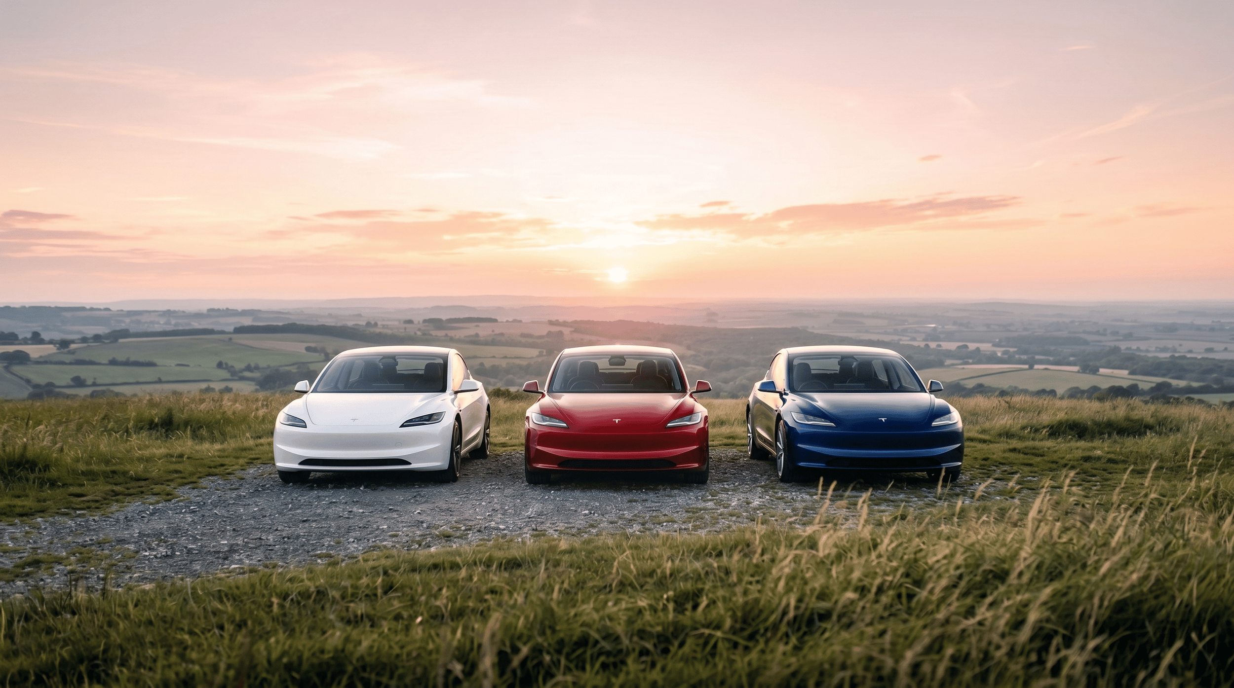 Tesla White