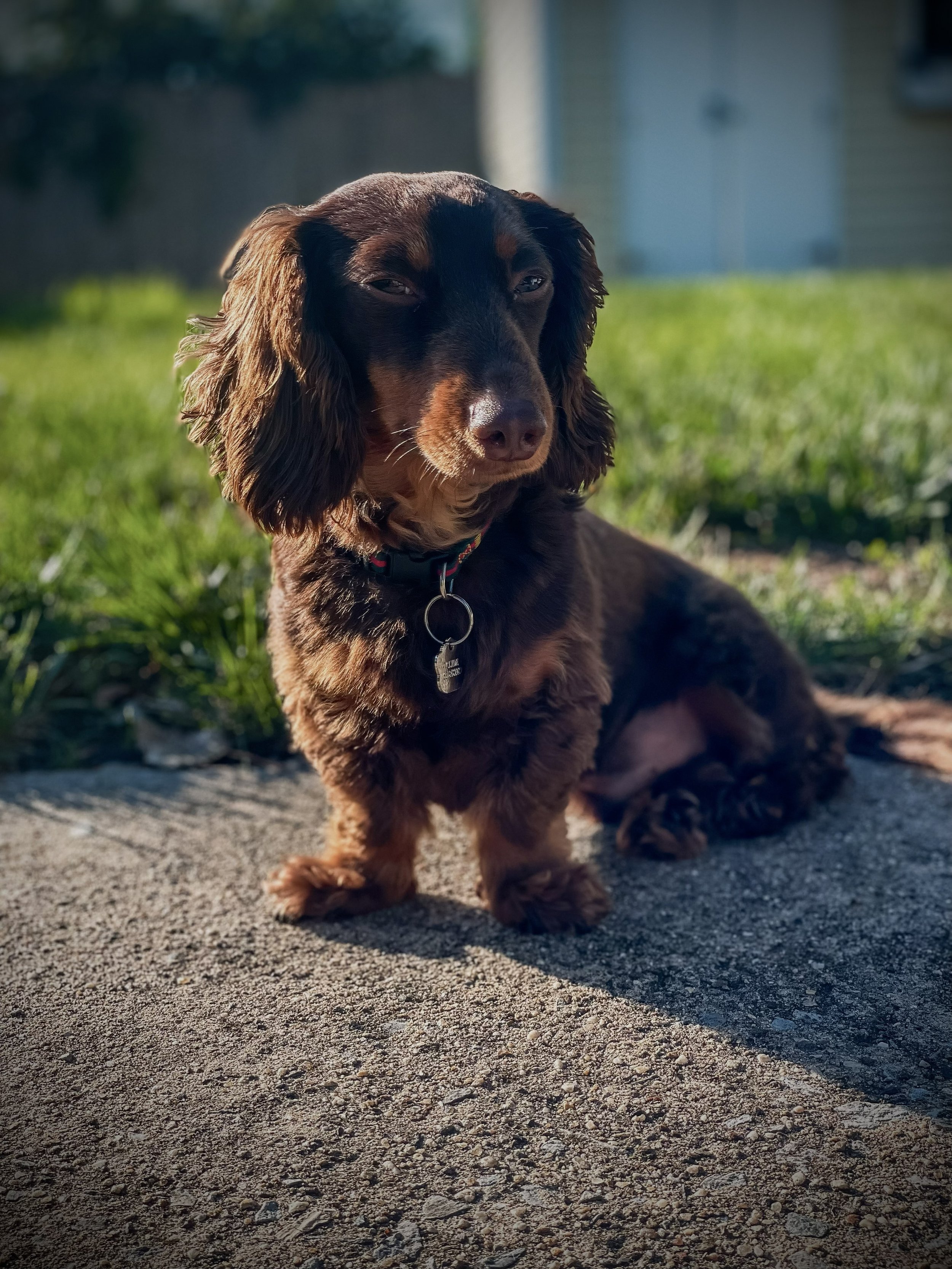 Clyde