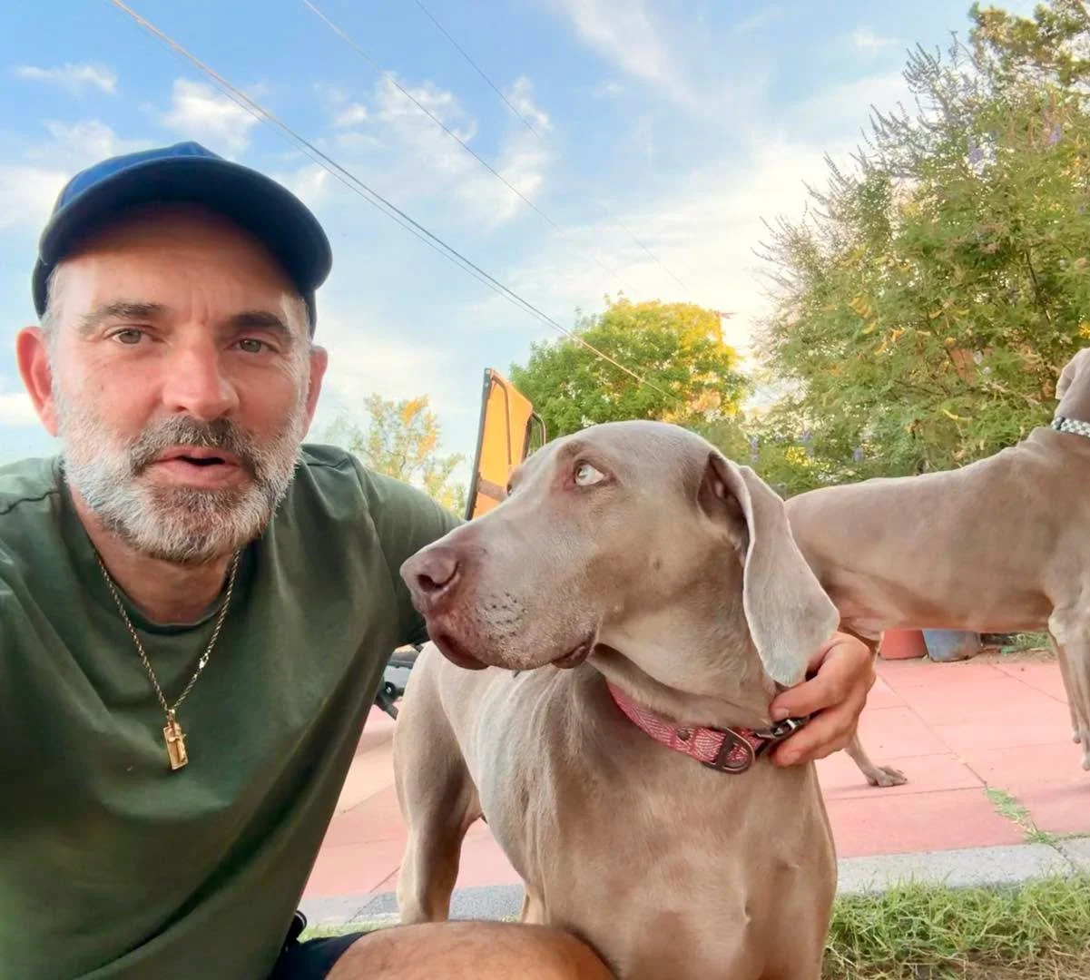 A man with his two Weimaraners outdoors