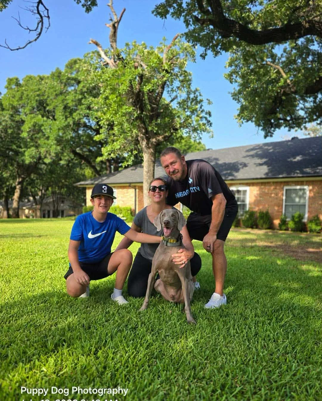 A Weimaraner in our care