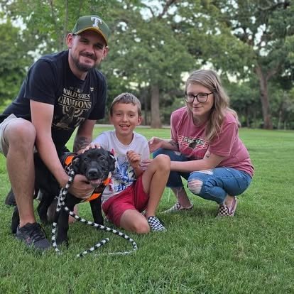 A family of three holding their newly adopted Weimaraner puppy