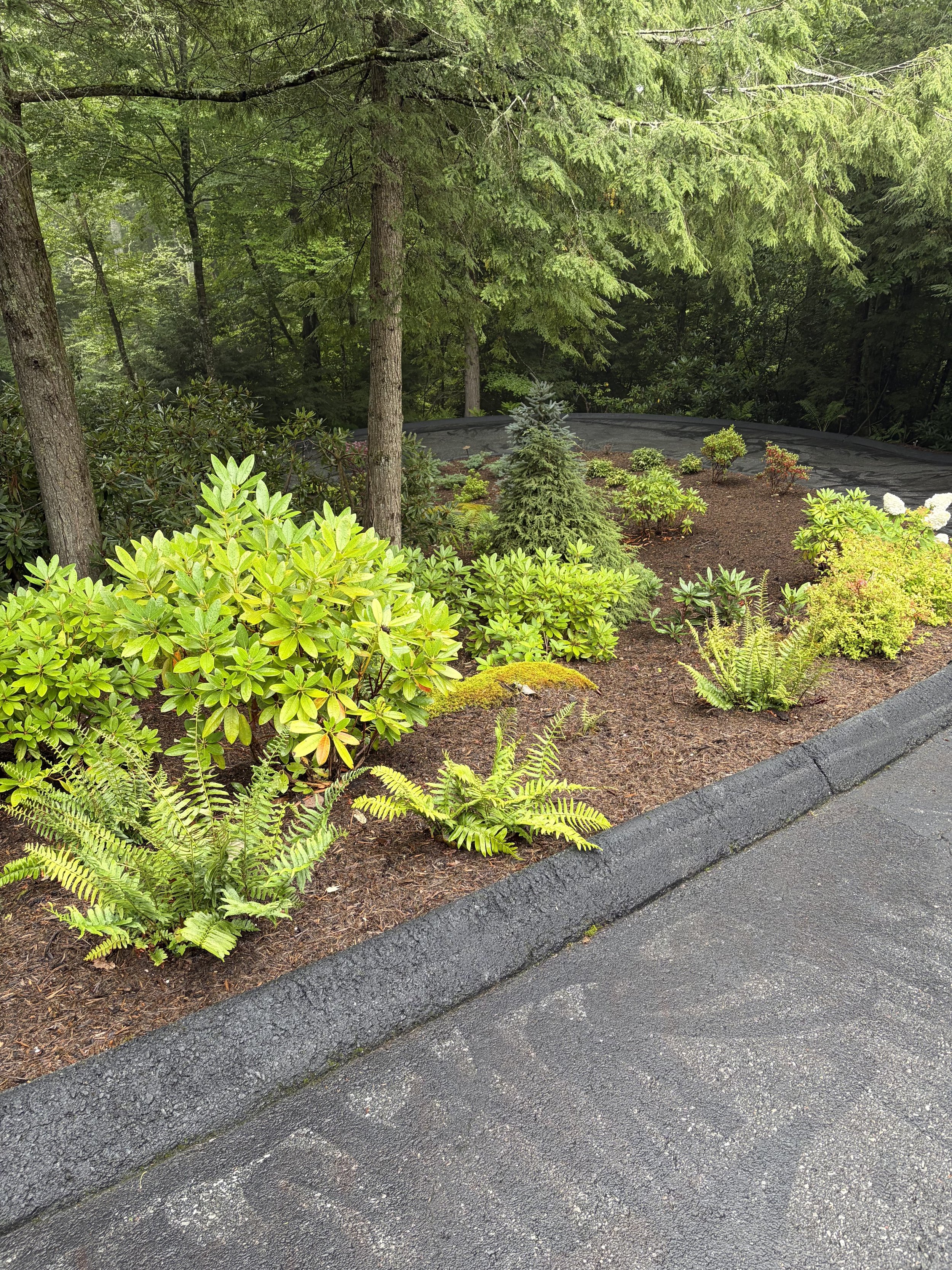 Landscaping project
