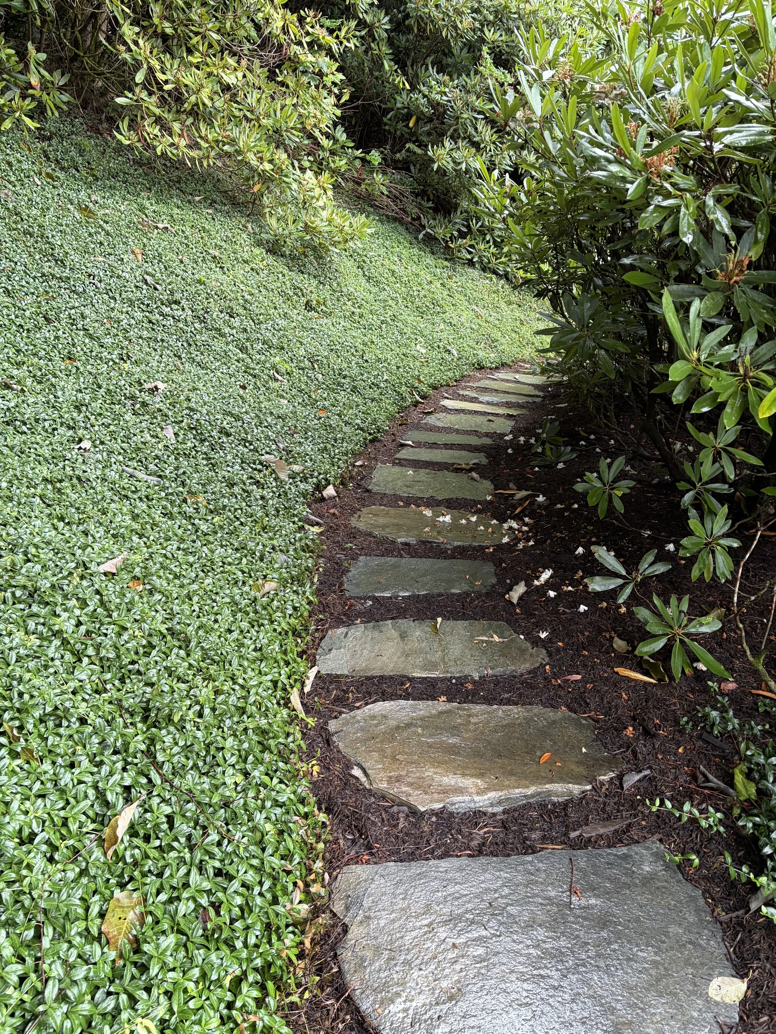 Landscaping project