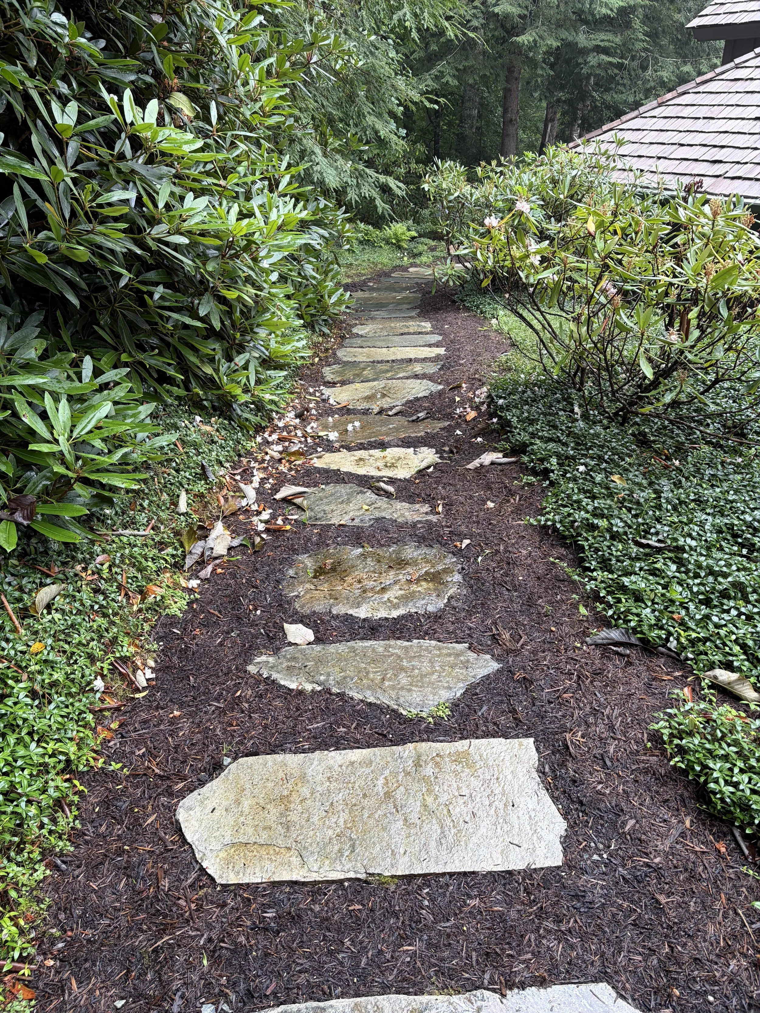 Landscaping project