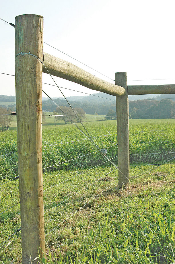 Fencing project