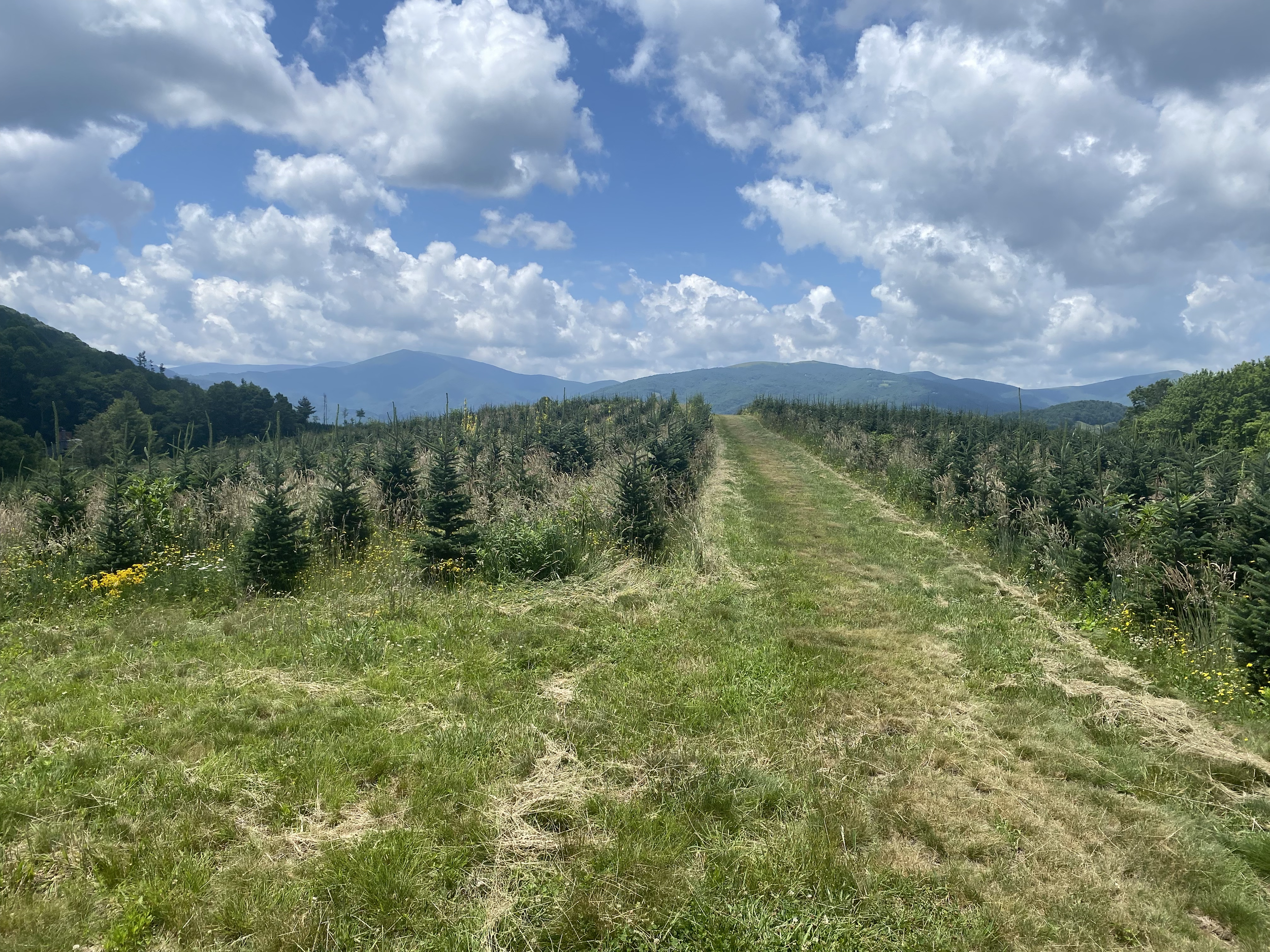 Farm today