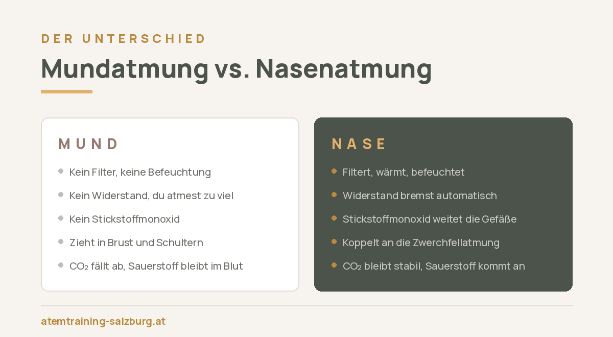 Mundatmung vs. Nasenatmung beim Laufen im Vergleich: Filter, Atemwiderstand, Stickstoffmonoxid, Zwerchfell und CO2-Haushalt