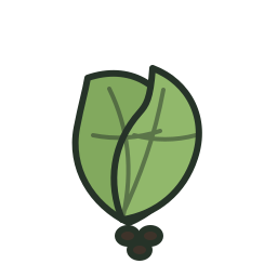 Cardamom icon
