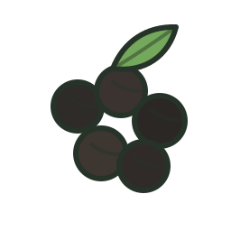 Black Pepper icon