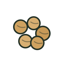 Coriander Seed icon