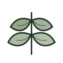 Sage icon