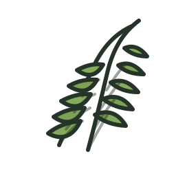 Rosemary icon