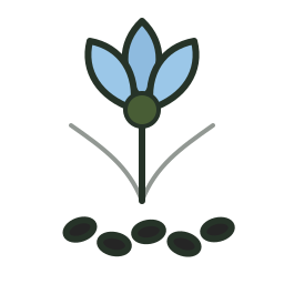 Black Cumin icon