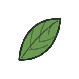 Bay Leaf icon