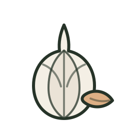 Garlic icon