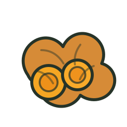 Turmeric icon