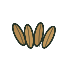 Cumin icon