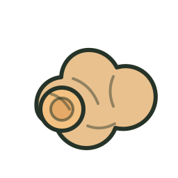 Ginger icon