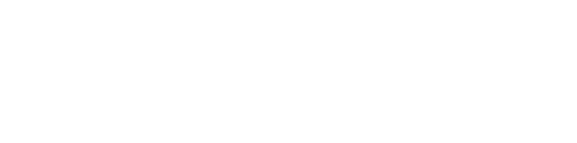 Ascension St. Vincent