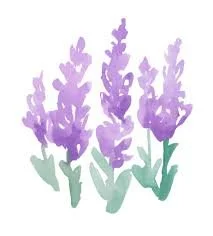 Sage Montessori School