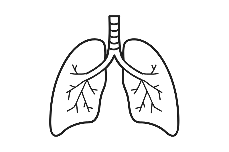 Fonction respiratoire