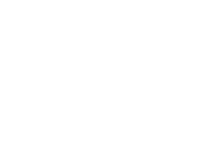 alo logo