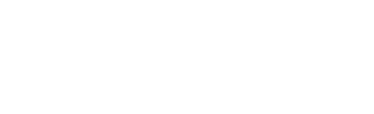 united nations logo
