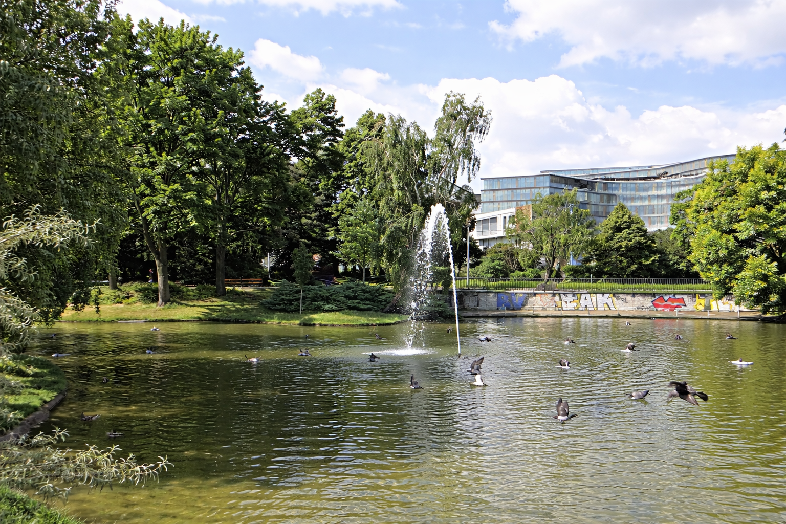 Green park with paths