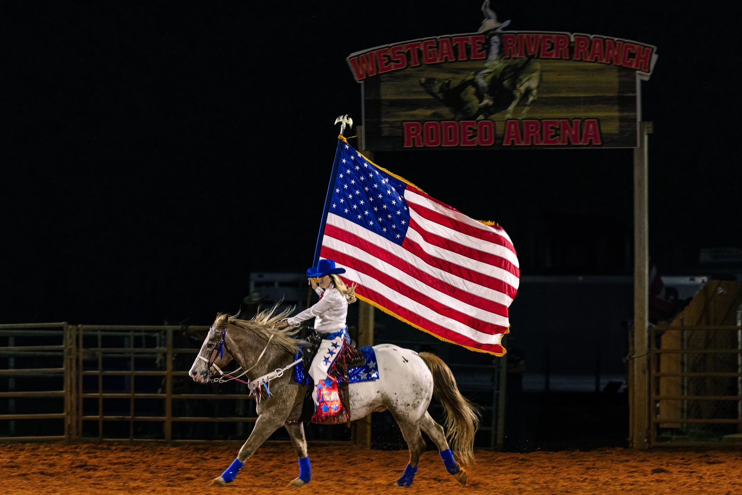 horse and rider at rodeo